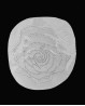 Thermo adhesive "Flower" pattern with strass