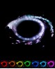 Optical fiber luminous whip