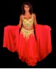 Set soutien-gorge + ceinture de danse orientale doré