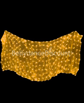 Illuminated gold Bellydance veil