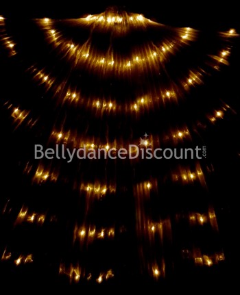 Gold LEDs light up Isis wings