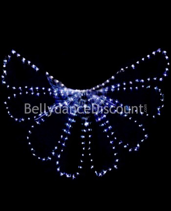 White LEDs light up butterfly Isis wings