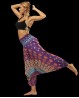 Pantalon de danse indienne violet