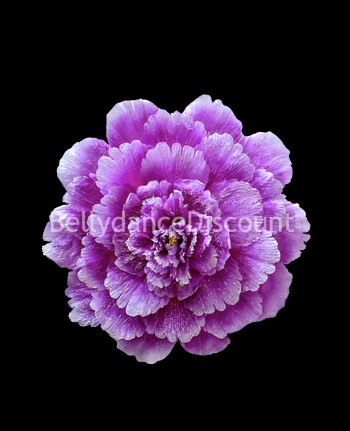 Ombrelle fleur violine à pétales