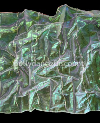 Velo luminoso multicolor de danza del vientre