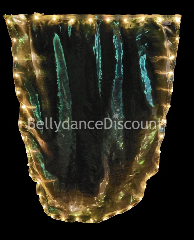 Luminous flex’veil in organza