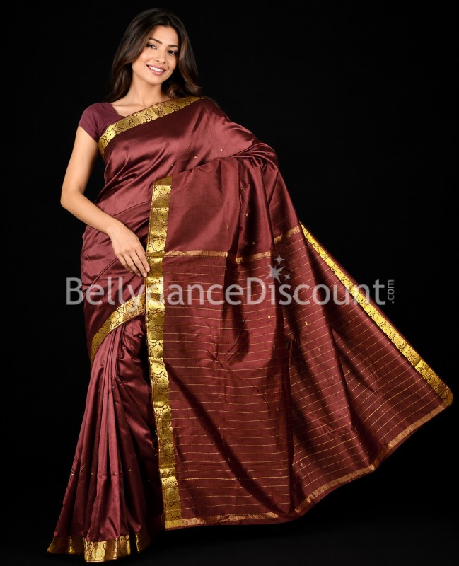 Sari für den Bollywood Tanz in Braun