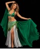 Soutien-gorge de danse orientale vert "papillon"
