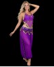 Purple covering belly dance top