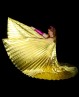 Ailes d'Isis de danse orientale opaques dorées