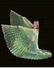Yellow transparent belly dance Isis wings