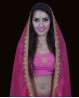 Fuchsia and gold Indian dance veil