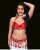 Set BH + Gürtel in Rot für den orientalischen Tanz