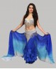 Coordinated silver belly dance bra + belt set