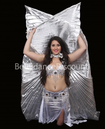 Silver belly dance costume
