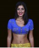 Top corto di danza del ventre e Bollywood blu scuro