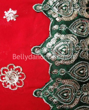 Shiny Bollywood dance Saree red model Jaipur