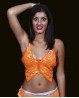 Top de danse orientale "papillon" orange