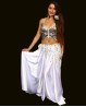 "Butterfly" oriental dance top silver