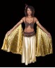 Gonna di danza del ventre raso dorata