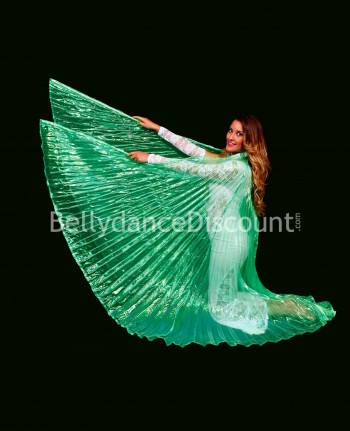 Green transparent belly dance Isis wings