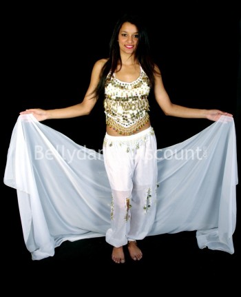 White rectangular oriental dance veil 