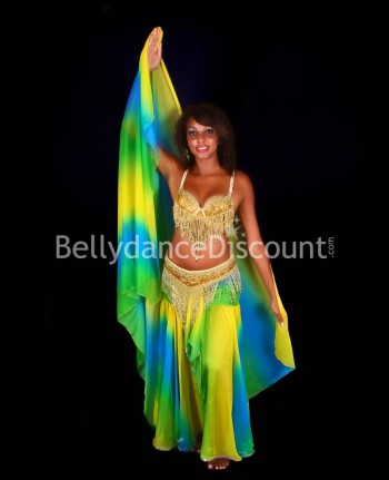 Golden belly dance bra +...