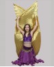 Children’s opaque gold Isis wings for oriental dance