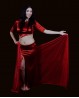 Shiny red rectangular Bellydance Veil