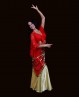 Long foulard de danse orientale velours rouge sequins or