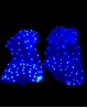 Eventails bleu nuit lumineux de danse orientale pure soie et LED