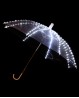 Parapluie lumineux blanc
