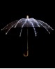 Light up white umbrella