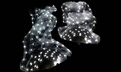 Il parere di Elsa, ballerina orientale, sull’utilizzo di accessori luminosi